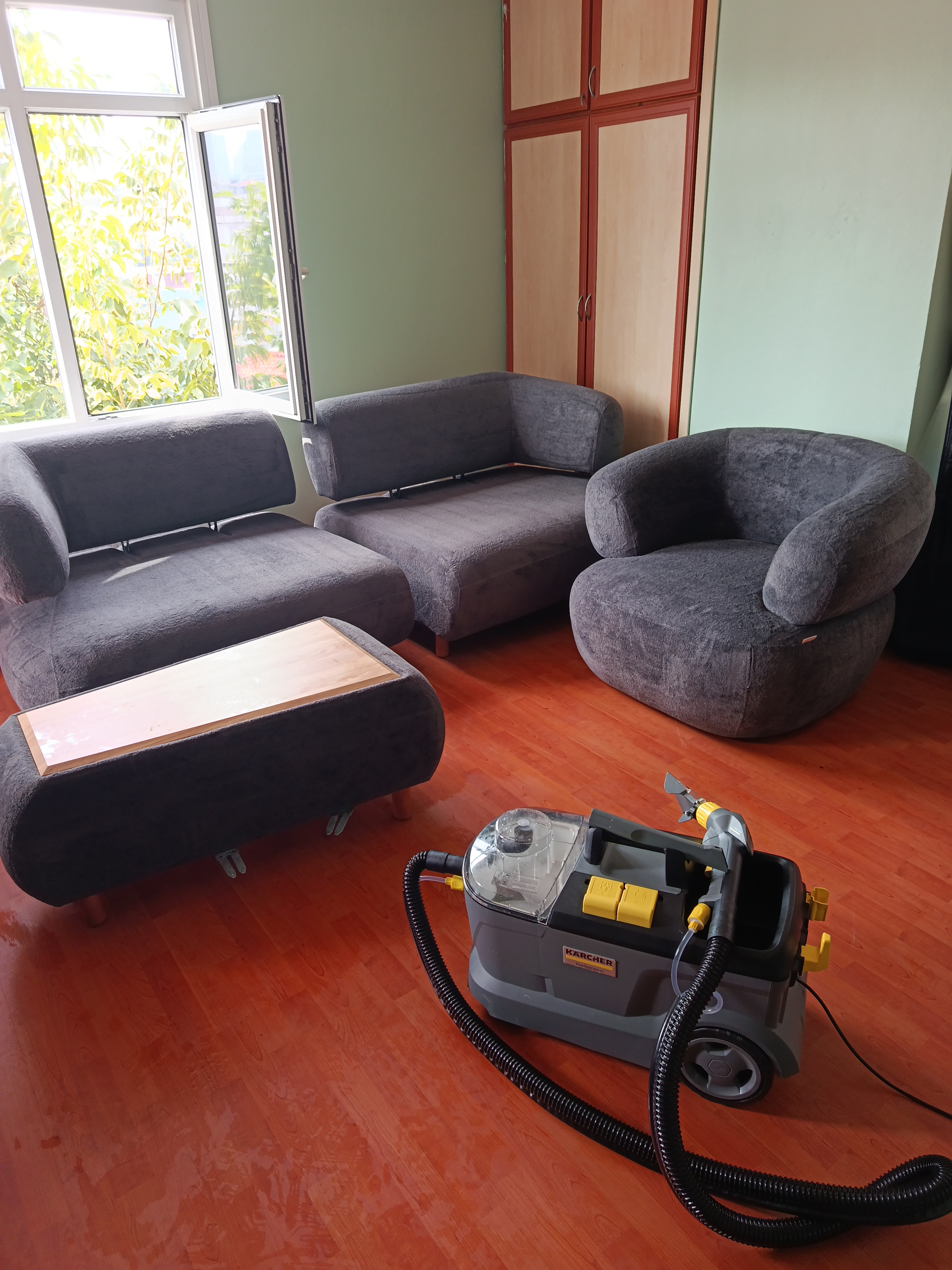 Professional sofa cleaning